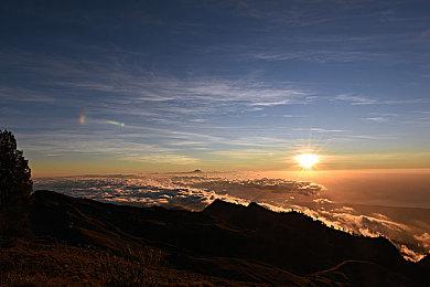 《致命地带》steam抢先体验开启 吸幸类型末日风新游